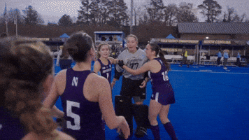 Field Hockey Hug GIF by Northwestern Athletics