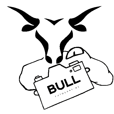 Camera Flash Sticker by BullFotografias