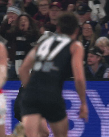 Carlton Football Club Afl GIF