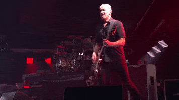 Pat Smear Guitar GIF by Foo Fighters