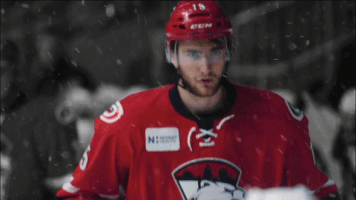 GIF by Charlotte Checkers