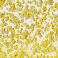 Make It Rain Falling GIF by Regal