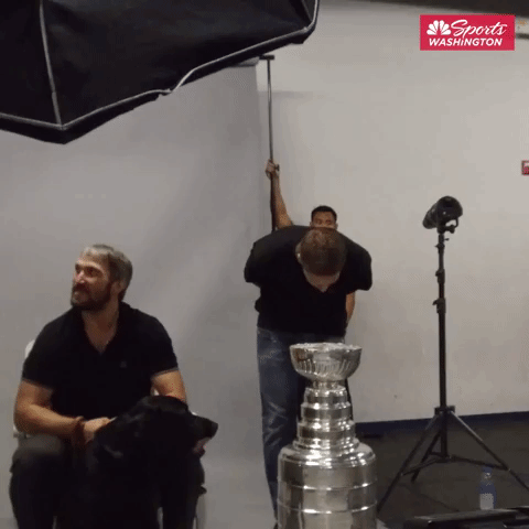 stanley cup dog GIF