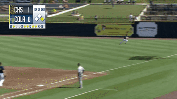 Slide Sliding GIF by Columbia Fireflies