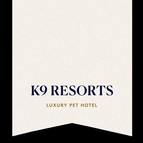Luxury Hotel Love GIF by K9Resorts