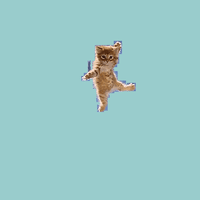 200.gif?cid=fc005b08a6573c75d8e720a6a6460a2d3d16a78756ee1709&rid=200.gif&ct=g