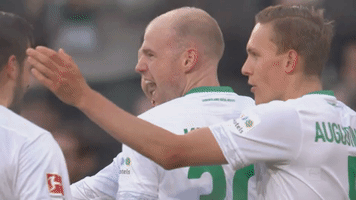 bundesliga celebrate GIF by SV Werder Bremen