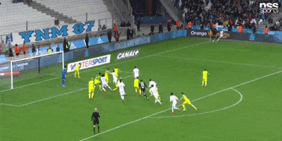 france om GIF by nss sports