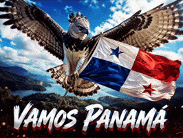 Panama Fifaworldcup GIF