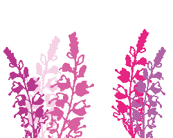 Flower Summer Dinner Sticker by Gardengirls