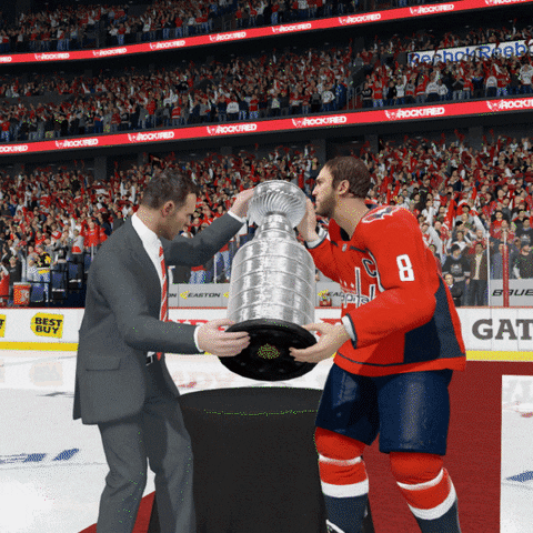 stanley cup playoffs GIF by EASPORTSNHL