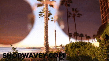 Sunglasses Sunset GIF
