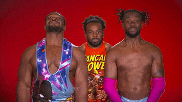 Great Job Reaction GIF by WWE