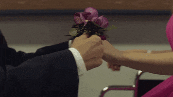anne winters corsage GIF by AwesomenessTV