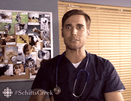 Dont Get It Schitts Creek GIF by CBC