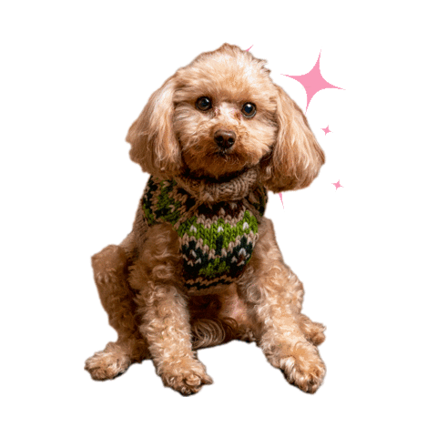 Wolverine Tax and Financial Sticker