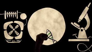stop motion animation GIF by Massive Science