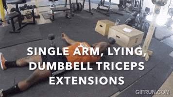 Single Arm Lying Dumbbell Triceps Extension GIF