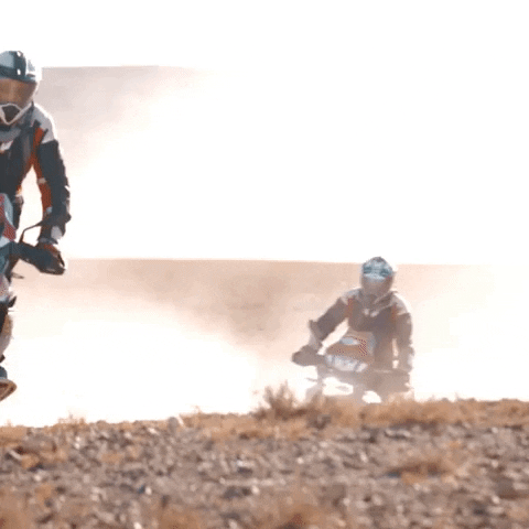 Friends Weekend GIF by BMW Motorrad
