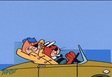 driving joy ride GIF