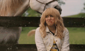 Hair Horse GIF