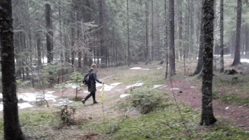 200.gif?cid=fc005b08d5ca05df17dd0d5415747d23af50ea4e4630205d&rid=200.gif&ct=g