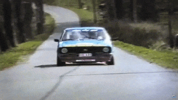 Rally GIF