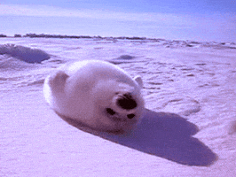 tired snow GIF