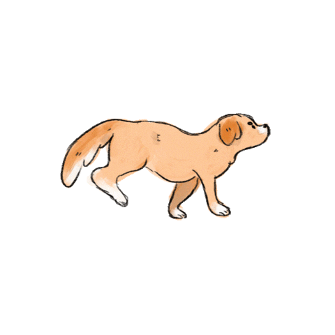 giphy.gif?cid=790b76113e764837cc48f25f85c56c9f61a1ce1391ffc98c&rid=giphy.gif&ct=s