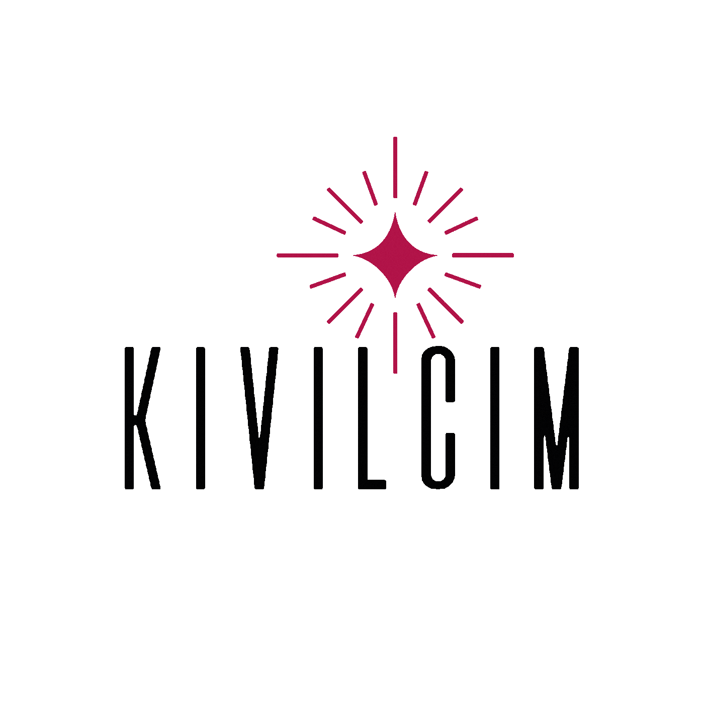 Spark Kivilcim Sticker by Kıvılcım Derneği