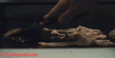 200.gif?cid=fc005b08e7759bd7106a1fdf1df6058c281b78253b5a9ad8&rid=200.gif&ct=g