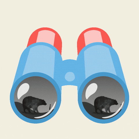 Binoculars GIF by VCCP