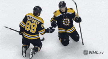 Boston Bruins Gifs Find Share On Giphy