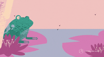 Animation Frogs GIF by The Explainer Studio