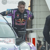 Red Bull Jump GIF by FIA World Rally Championship