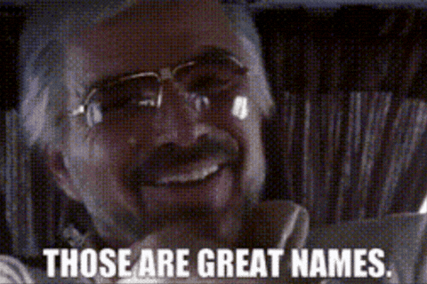 Burt Reynolds Great Name GIF by Chris Cimino
