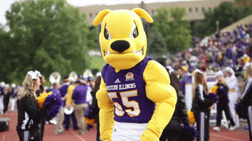 college wants GIF by Western Illinois University