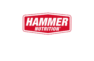 Hammer Sticker