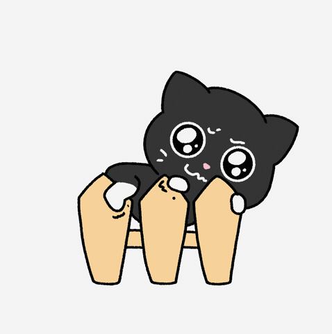 Cat GIF