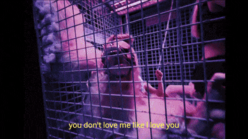 You Dont Love Me GIF by Jazmin Bean