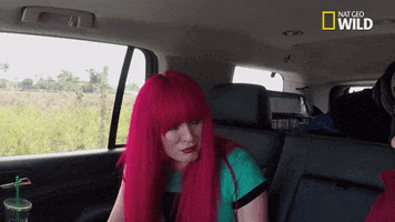 200.gif?cid=fc005b08bd6662863e4ab20dbdf8250cf316ee35e8330b28&rid=200.gif&ct=g