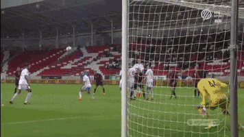 meszolysaman lanzafame GIF