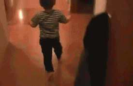Video gif. A toddler is running and then turns around and purposely slides down the steps. 