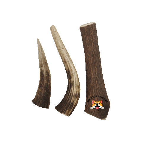 LesP'titesMiettes Sticker