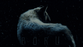 Wolf GIF
