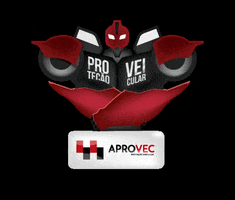 Robo Protecaoveicular GIF