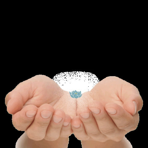 Clinica Fisioterapia GIF