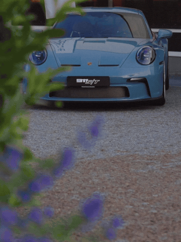 GIF by MoneyFest