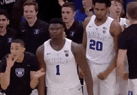 Zion Williamson Basketball GIF by New Orleans Pelicans - Find & Share on  GIPHY