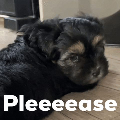 Beg Please GIF by NZ Collab